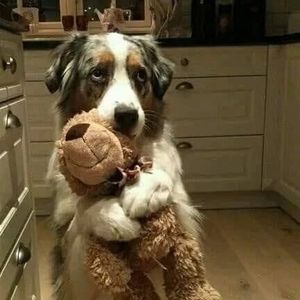 Meet your Posher, Christine